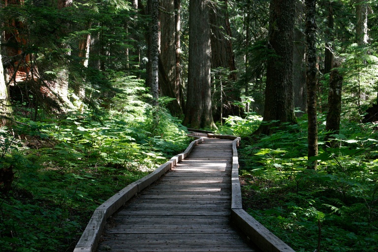 Under the Radar Hiking Trails Across the US Under the Radar Hiking Trails Across the US