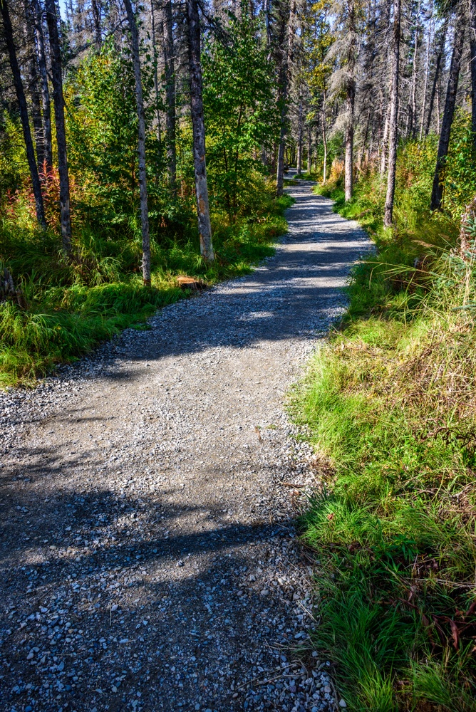 Under the Radar Hiking Trails Across the US Under the Radar Hiking Trails Across the US