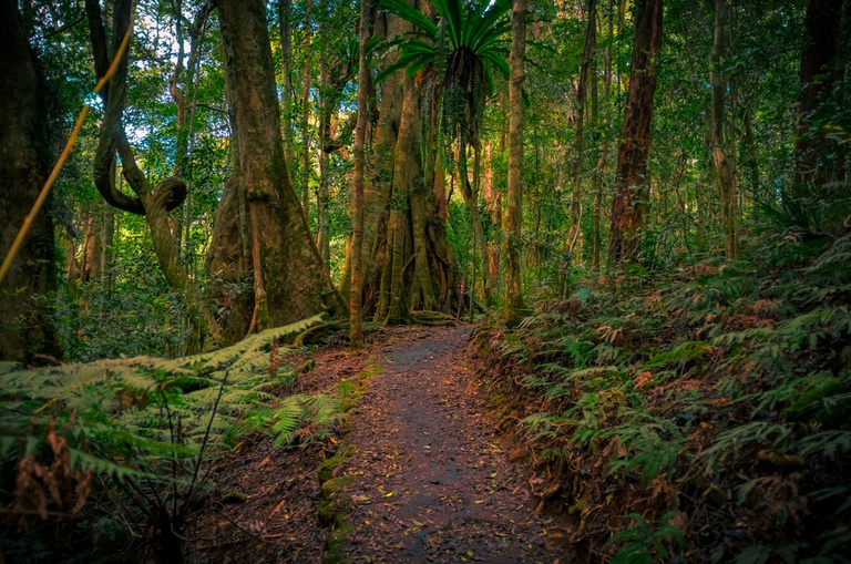 Under the Radar Hiking Trails Across the US Under the Radar Hiking Trails Across the US