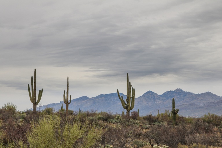 Under the Radar Hiking Trails Across the US Under the Radar Hiking Trails Across the US