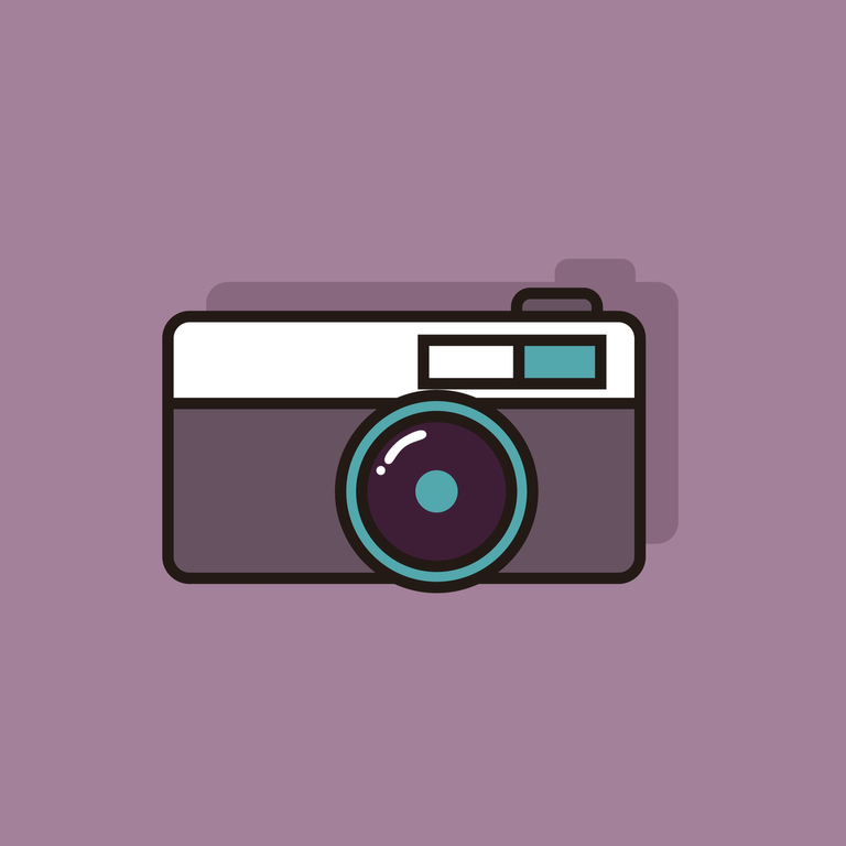 Tips For Taking Great Whale And Dolphin Photos Tips For Taking Great Whale And Dolphin Photos