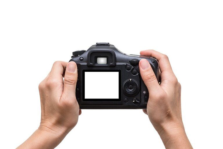 Tips For Taking Great Whale And Dolphin Photos Tips For Taking Great Whale And Dolphin Photos