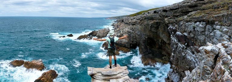 Best Places to Go Swimming With Whales Best Places to Go Swimming With Whales