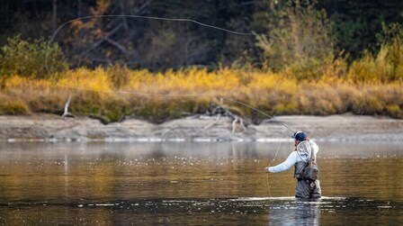 Best Fly Fishing Destinations in America for Trout