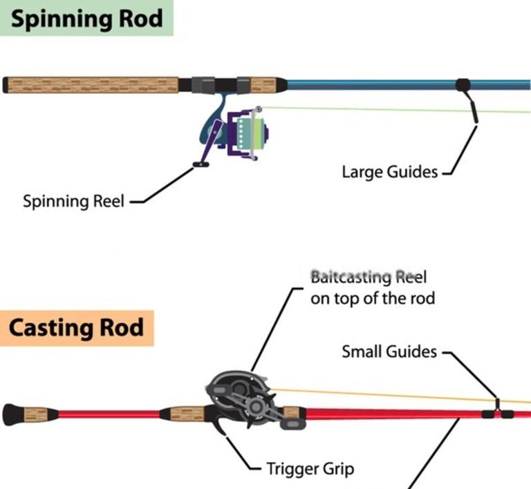 When to Use A Spinning Vs Baitcasting Rod, Explained? When to Use A Spinning Vs Baitcasting Rod, Explained?