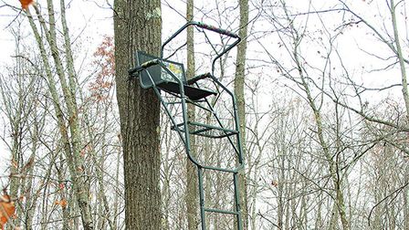 6 Most Comfortable Ladder Tree Stands of 2025 6 Most Comfortable Ladder Tree Stands of 2025