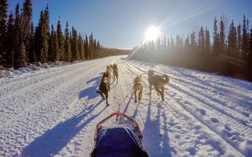 Top Things To Do in Alaska - Ultimate Guide Top Things To Do in Alaska - Ultimate Guide