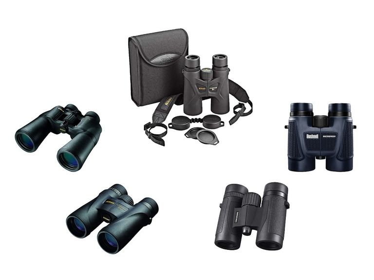 Top 5 Best Binoculars For Alaska Cruise Top 5 Best Binoculars For Alaska Cruise
