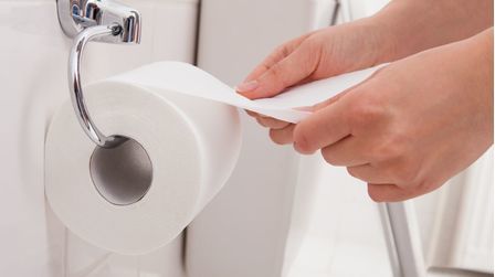 6 Best RV Toilet Papers of 2025