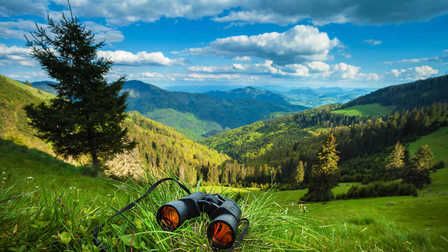 6 Best Binoculars For Safari of 2025