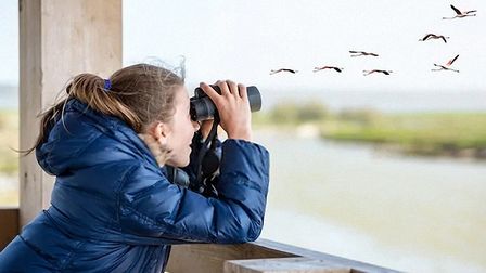 6 Best Lightweight Binoculars For Bird Watching of 2025