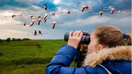 6 Best Monoculars For Bird Watching of 2025 6 Best Monoculars For Bird Watching of 2025