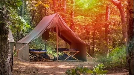 6 Most Comfortable Camping Cots of 2025 6 Most Comfortable Camping Cots of 2025