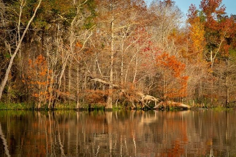 6 Best Places To Camp In Texas in 2025 6 Best Places To Camp In Texas in 2025