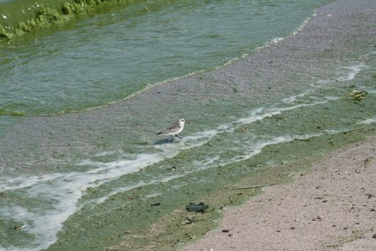 9 Best Bird Watching Places In USA in 2025 9 Best Bird Watching Places In USA in 2025
