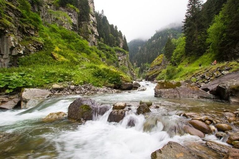 6 Best Places To Camp In Michigan in 2025 6 Best Places To Camp In Michigan in 2025