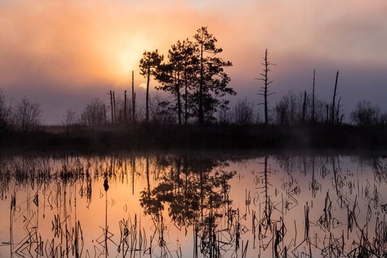 6 Best Places To Camp In Michigan in 2025 6 Best Places To Camp In Michigan in 2025