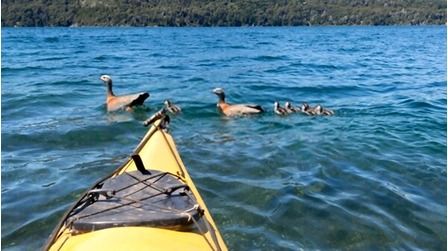 6 Best Duck Hunting Kayaks of 2025 6 Best Duck Hunting Kayaks of 2025
