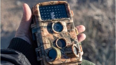 5 Best Trail Cameras Under $100 of 2025 5 Best Trail Cameras Under $100 of 2025