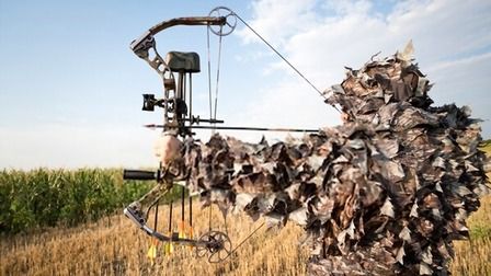 6 Best Compound Bows For Hunting of 2025 6 Best Compound Bows For Hunting of 2025