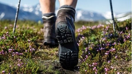 6 Best Men's Waterproof Hiking Shoes of 2025 6 Best Men's Waterproof Hiking Shoes of 2025