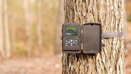 6 Best Cellular Trail Cameras of 2025