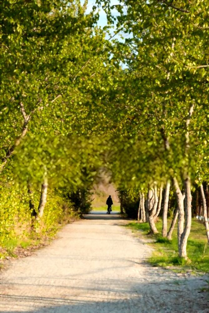 Top 8 Longest Paved Bike Trails in the US Top 8 Longest Paved Bike Trails in the US