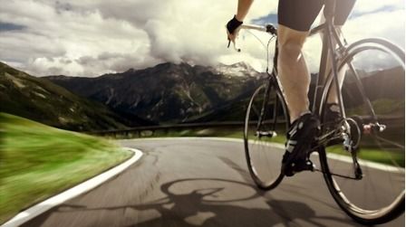 6 Best Beginner Road Bikes Under $500 of 2025