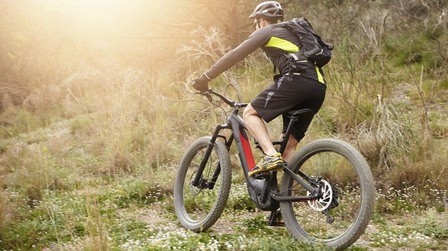 5 Best Electric Hunting Bikes of 2025 5 Best Electric Hunting Bikes of 2025