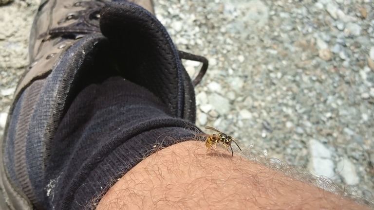 What to Wear When Hiking in Summer? What to Wear When Hiking in Summer?