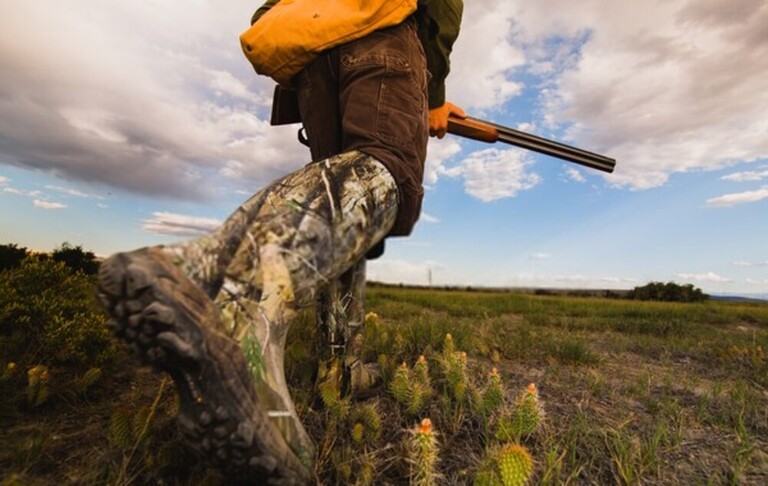 What Does A Beginner Hunter Need?