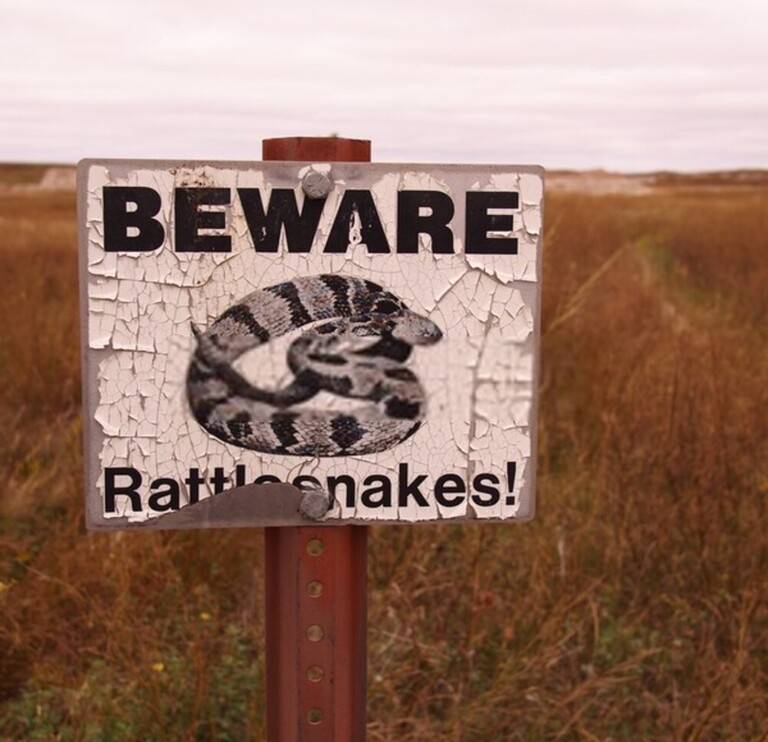 How Do You Protect Yourself Against Snakes When Hiking? How Do You Protect Yourself Against Snakes When Hiking?