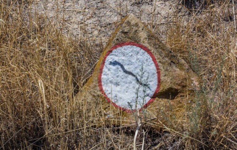 How Do You Protect Yourself Against Snakes When Hiking? How Do You Protect Yourself Against Snakes When Hiking?