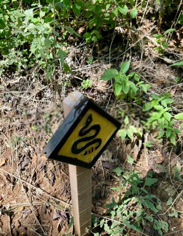 How Do You Protect Yourself Against Snakes When Hiking? How Do You Protect Yourself Against Snakes When Hiking?