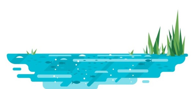 How To Fish With Soft Plastics In Saltwater? How To Fish With Soft Plastics In Saltwater?