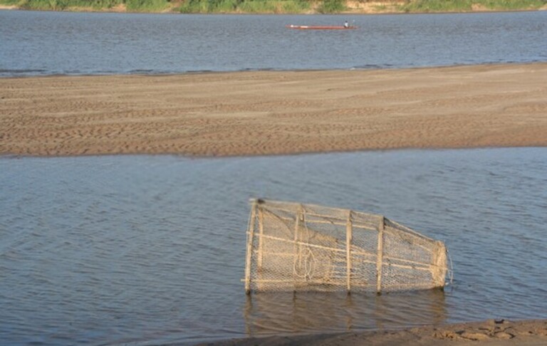 Best Way To Keep Fish Fresh After Catching Best Way To Keep Fish Fresh After Catching