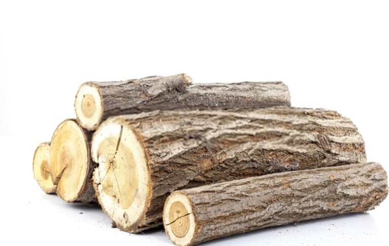 How To Build A Roaring Campfire & Keep It Burning All Night? How To Build A Roaring Campfire & Keep It Burning All Night?