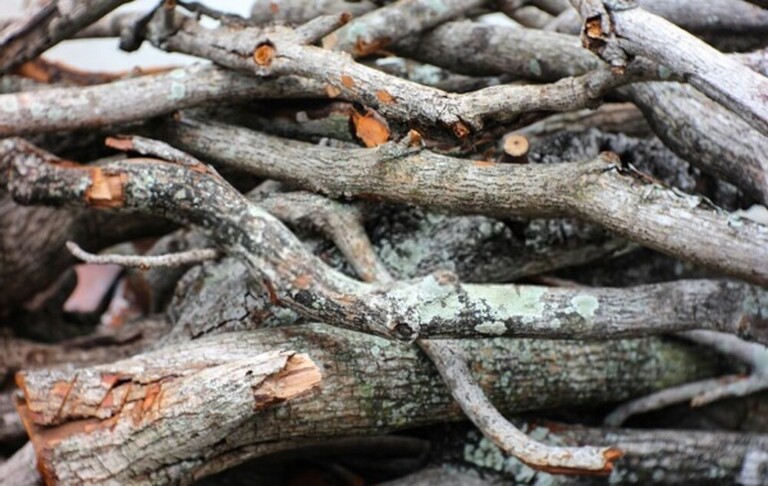 How To Build A Roaring Campfire & Keep It Burning All Night? How To Build A Roaring Campfire & Keep It Burning All Night?