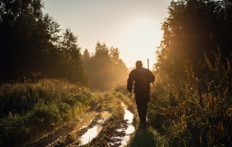 How To Survive If You Get Lost Hunting? How To Survive If You Get Lost Hunting?