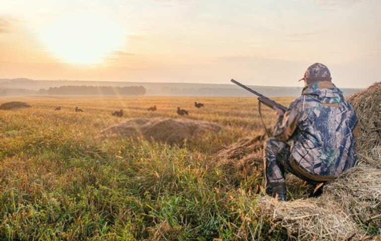 How To Survive If You Get Lost Hunting? How To Survive If You Get Lost Hunting?